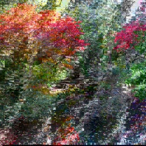 <p>Gardens</p>