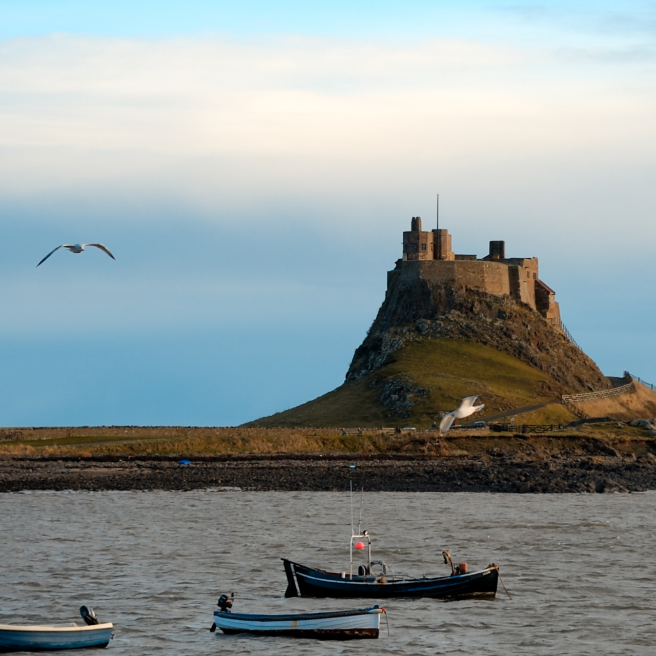 Lindisfarne 5050