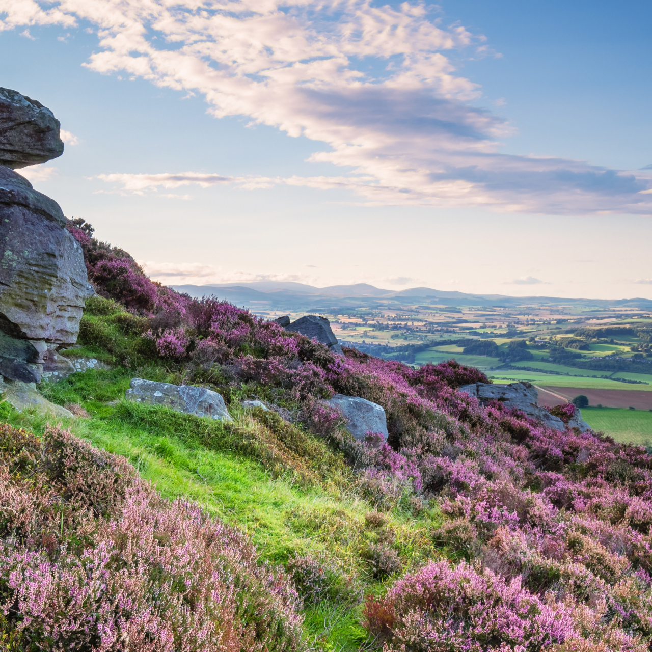 Simonside 5050