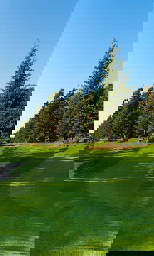 COME HIT THE FAIRWAY